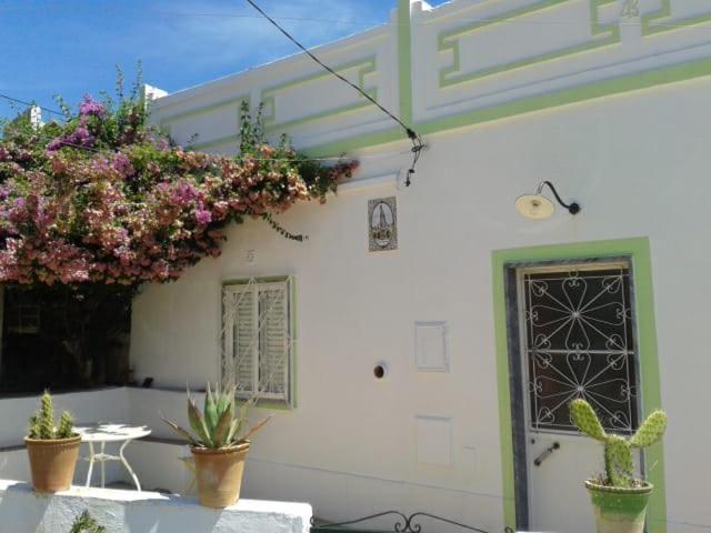Hotel Casa Da Cabeca Azinheiro Exteriér fotografie